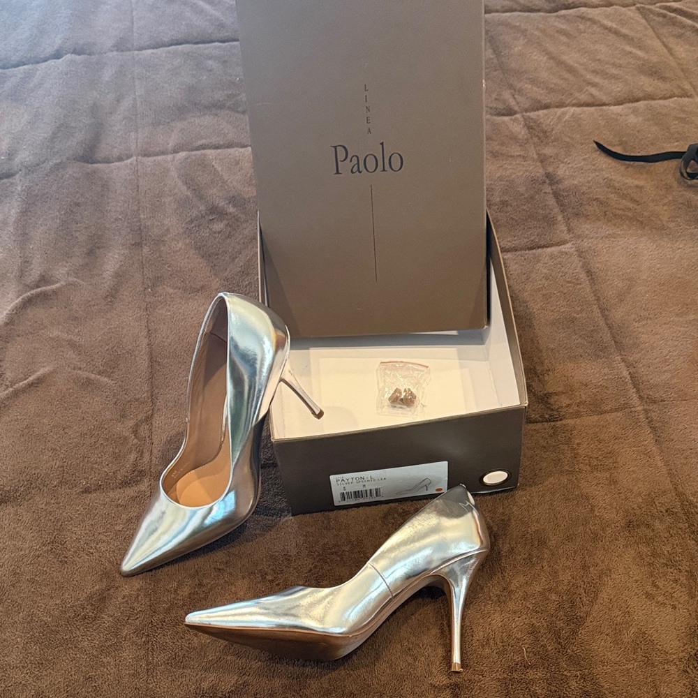 Paolo Metallic Silver Pointed-Toe Stiletto Pumps